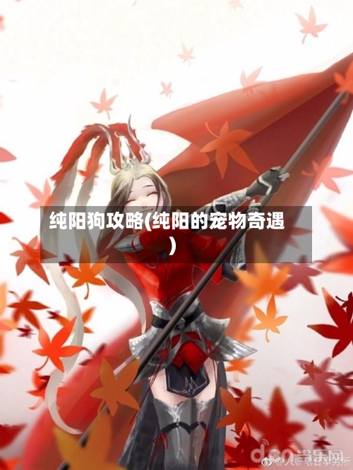 纯阳狗攻略(纯阳的宠物奇遇)
