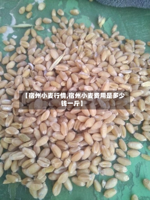 【宿州小麦行情,宿州小麦费用是多少钱一斤】