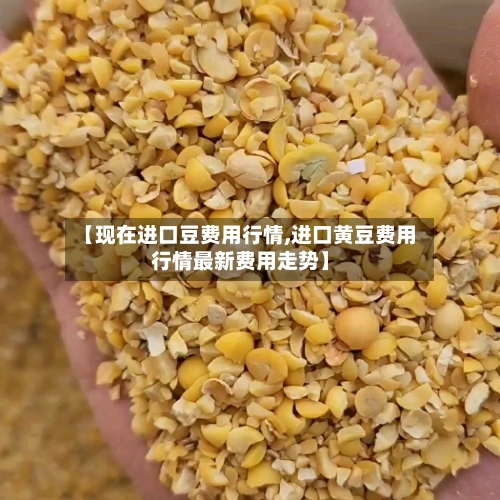 【现在进口豆费用行情,进口黄豆费用行情最新费用走势】-第1张图片