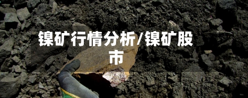 镍矿行情分析/镍矿股市-第1张图片