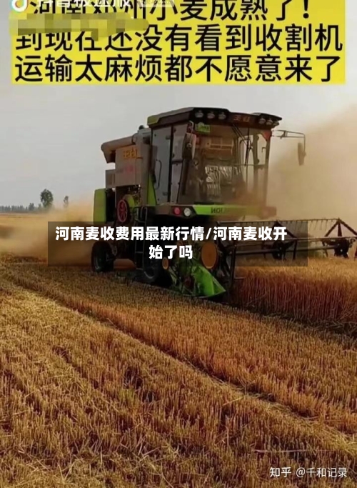 河南麦收费用最新行情/河南麦收开始了吗-第1张图片