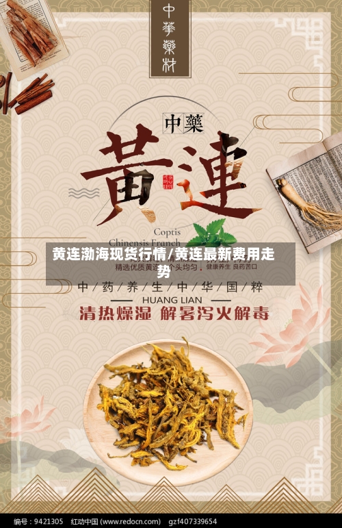 黄连渤海现货行情/黄连最新费用走势