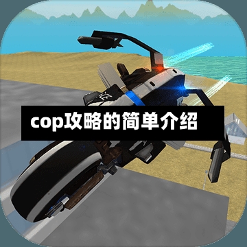 cop攻略的简单介绍