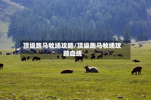 顶级跑马牧场攻略/顶级跑马牧场攻略血统