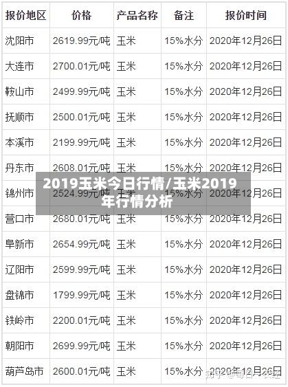 2019玉米今日行情/玉米2019年行情分析-第1张图片
