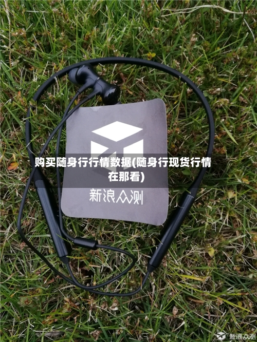 购买随身行行情数据(随身行现货行情在那看)-第1张图片