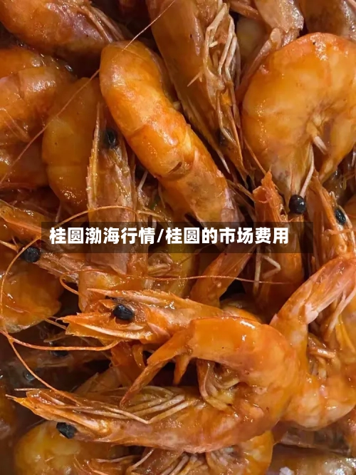 桂圆渤海行情/桂圆的市场费用