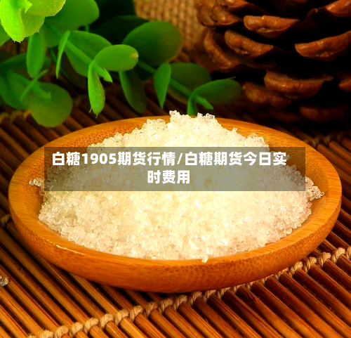 白糖1905期货行情/白糖期货今日实时费用