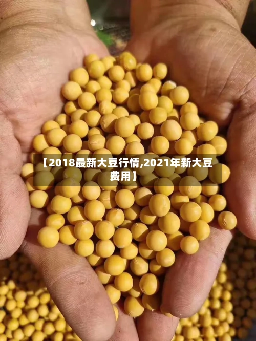 【2018最新大豆行情,2021年新大豆费用】-第1张图片