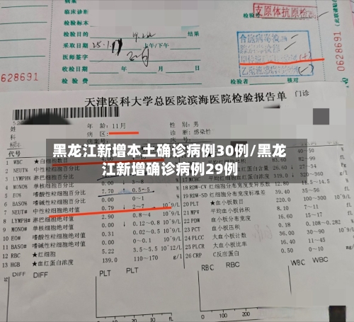 黑龙江新增本土确诊病例30例/黑龙江新增确诊病例29例-第2张图片