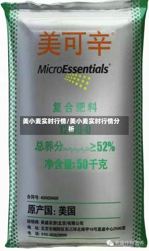 美小麦实时行情/美小麦实时行情分析