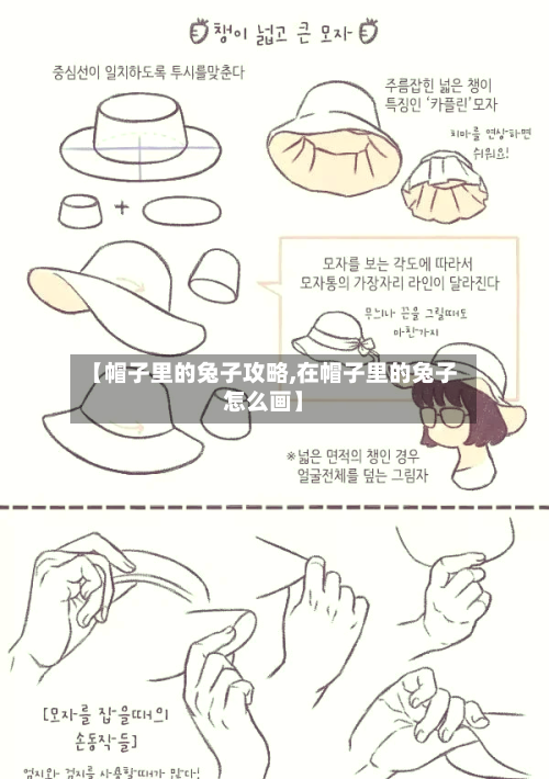 【帽子里的兔子攻略,在帽子里的兔子怎么画】-第1张图片