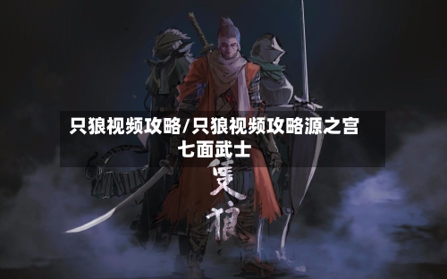 只狼视频攻略/只狼视频攻略源之宫七面武士-第1张图片