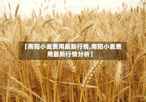 【南阳小麦费用最新行情,南阳小麦费用最新行情分析】-第1张图片