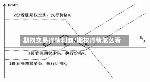 期权交易行情判断/期权行情怎么看-第1张图片