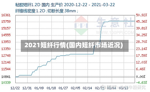 2021短纤行情(国内短纤市场近况)-第1张图片