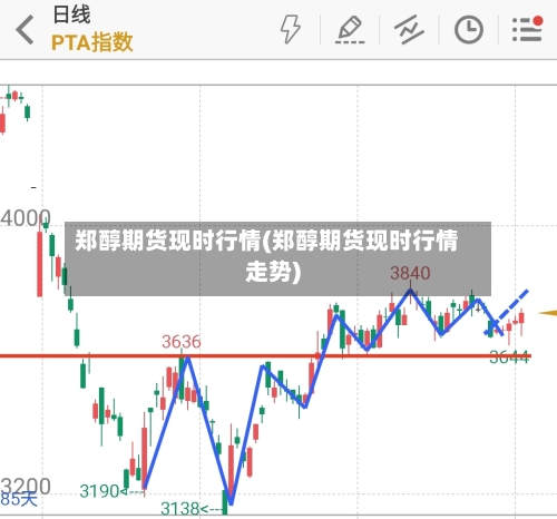 郑醇期货现时行情(郑醇期货现时行情走势)-第1张图片