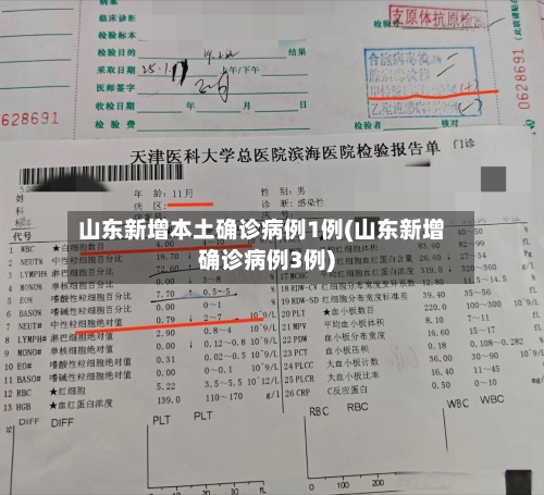 山东新增本土确诊病例1例(山东新增确诊病例3例)-第1张图片