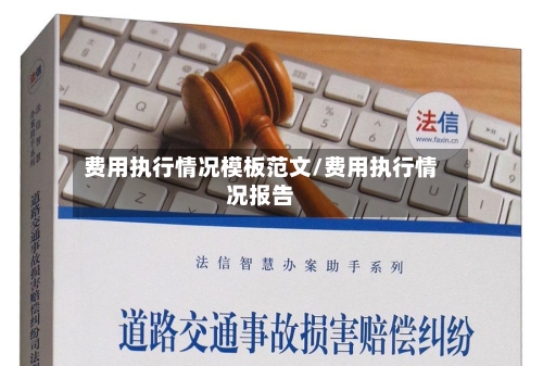 费用执行情况模板范文/费用执行情况报告-第1张图片