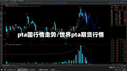 pta国行情走势/世界pta期货行情-第1张图片