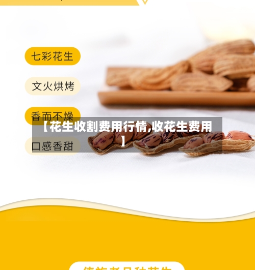 【花生收割费用行情,收花生费用】-第1张图片