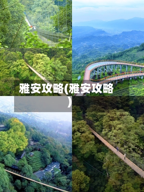 雅安攻略(雅安攻略)-第1张图片