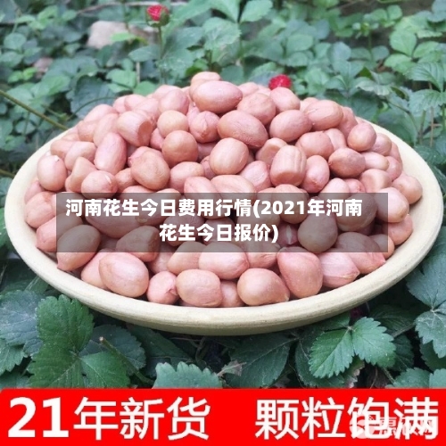 河南花生今日费用行情(2021年河南花生今日报价)-第1张图片