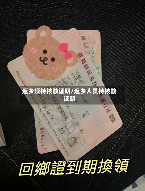 返乡须持核酸证明/返乡人员持核酸证明-第1张图片