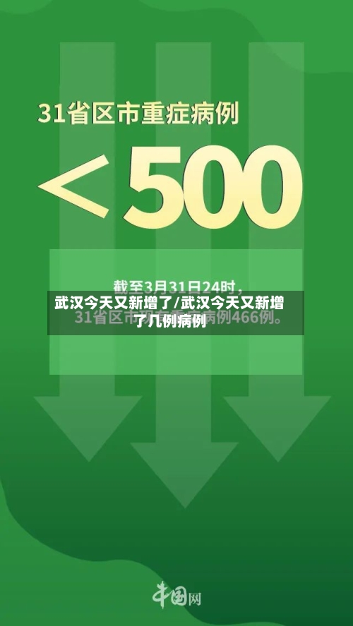 武汉今天又新增了/武汉今天又新增了几例病例-第1张图片