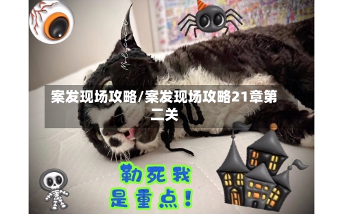 案发现场攻略/案发现场攻略21章第二关-第1张图片