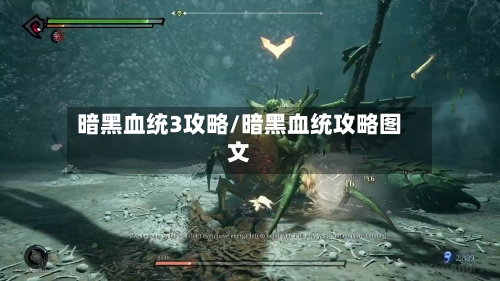 暗黑血统3攻略/暗黑血统攻略图文-第1张图片