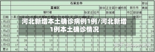 河北新增本土确诊病例1例/河北新增1例本土确诊情况-第1张图片