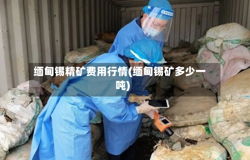 缅甸锡精矿费用行情(缅甸锡矿多少一吨)-第1张图片
