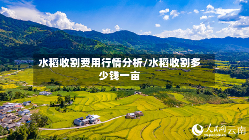 水稻收割费用行情分析/水稻收割多少钱一亩-第1张图片