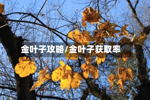 金叶子攻略/金叶子获取率-第1张图片