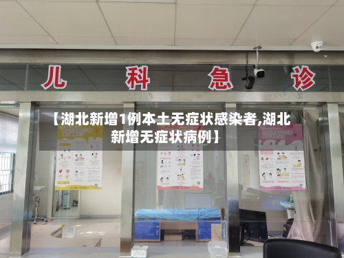 【湖北新增1例本土无症状感染者,湖北新增无症状病例】-第3张图片