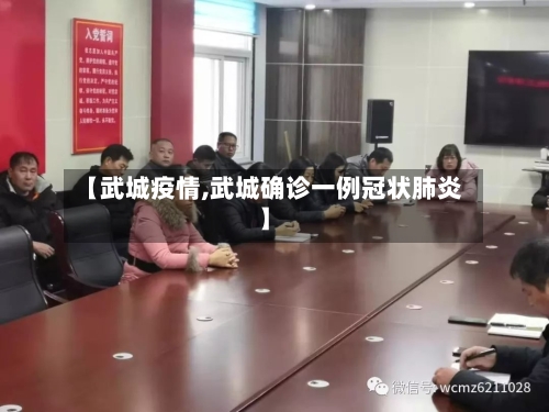 【武城疫情,武城确诊一例冠状肺炎】-第1张图片