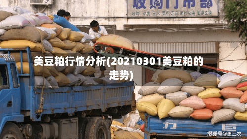 美豆粕行情分析(20210301美豆粕的走势)-第1张图片