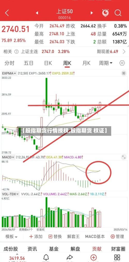 【股指期货行情授权,股指期货 权证】-第1张图片