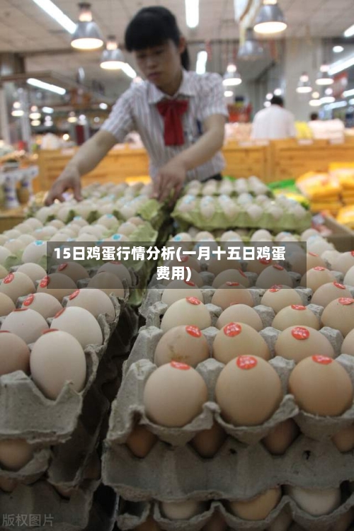 15日鸡蛋行情分析(一月十五日鸡蛋费用)-第1张图片