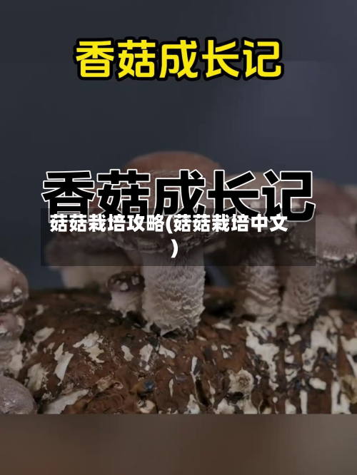 菇菇栽培攻略(菇菇栽培中文)-第1张图片