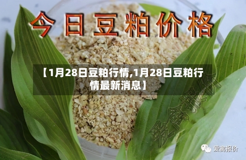 【1月28日豆粕行情,1月28日豆粕行情最新消息】-第1张图片