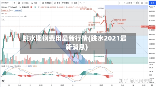 跳水期钢费用最新行情(跳水2021最新消息)-第1张图片