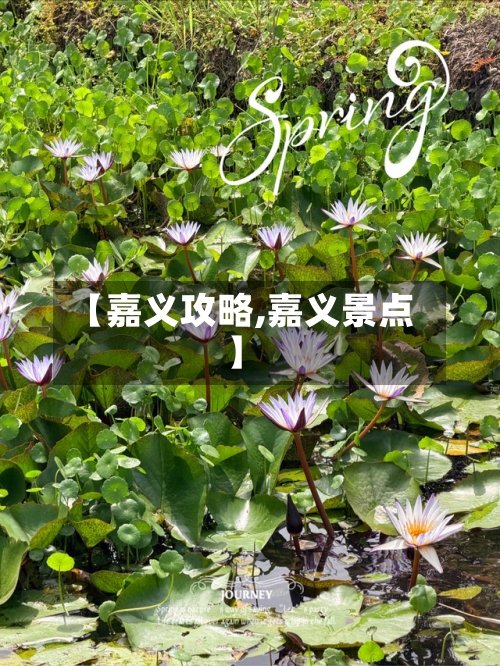 【嘉义攻略,嘉义景点】-第1张图片