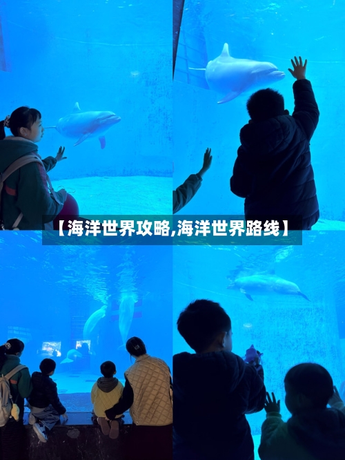【海洋世界攻略,海洋世界路线】-第1张图片