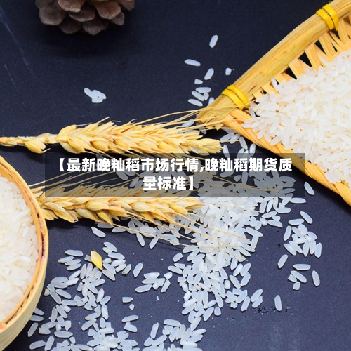 【最新晚籼稻市场行情,晚籼稻期货质量标准】-第1张图片