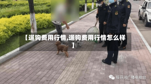 【遛狗费用行情,遛狗费用行情怎么样】-第1张图片