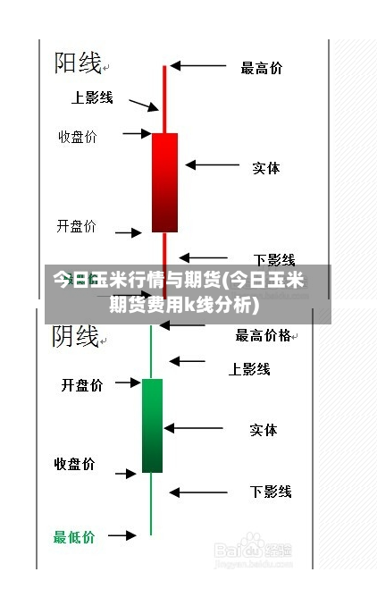 今日玉米行情与期货(今日玉米期货费用k线分析)-第1张图片