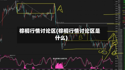 棕榈行情讨论区(棕榈行情讨论区是什么)-第1张图片