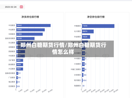 郑州白糖期货行情/郑州白糖期货行情怎么样-第1张图片